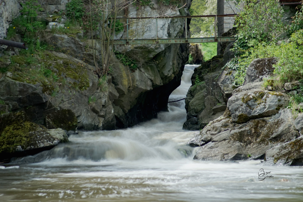 Bild3ll