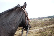 Bild9t